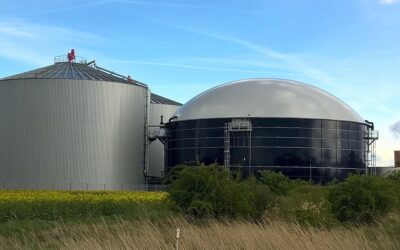 Tendances du marché de l’énergie : Analyse des évolutions du secteur et implications pour les entreprises